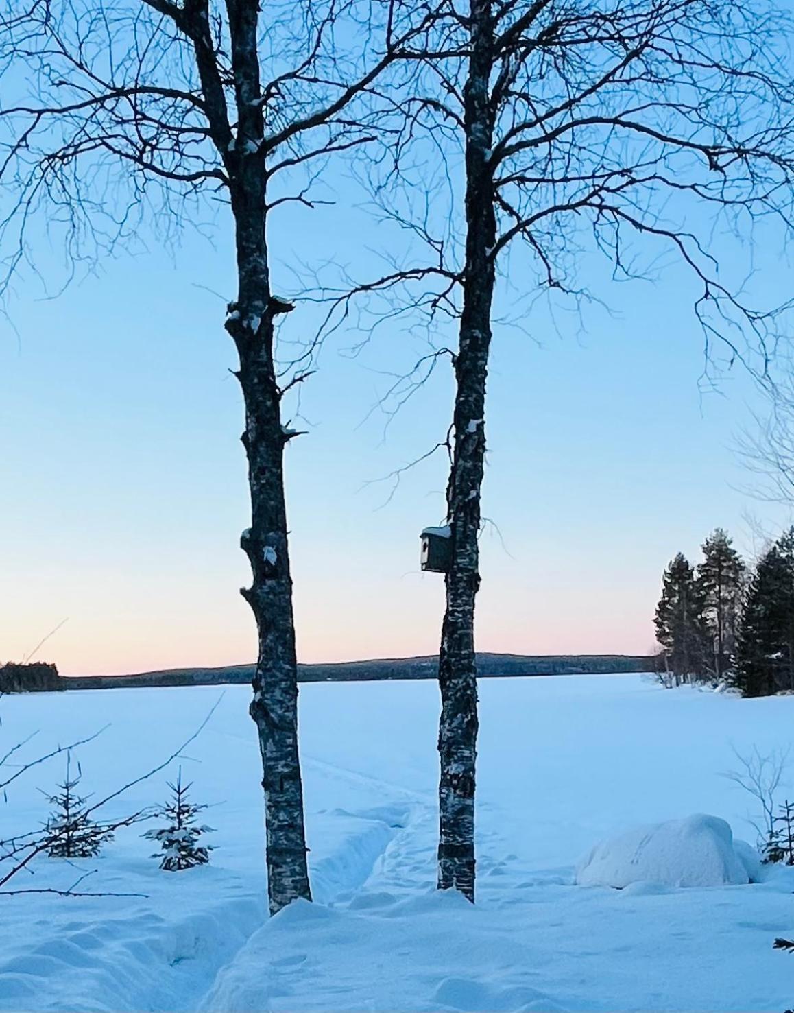 Villa Naava Rovaniemi Exteriör bild